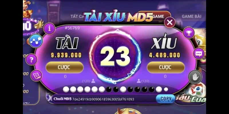 Một Số Các Câu Hỏi Thường Gặp Khác Khi Chơi Tài Xỉu MD5 Một Số Các Câu Hỏi Thường Gặp Khác Khi Chơi Tài Xỉu MD5